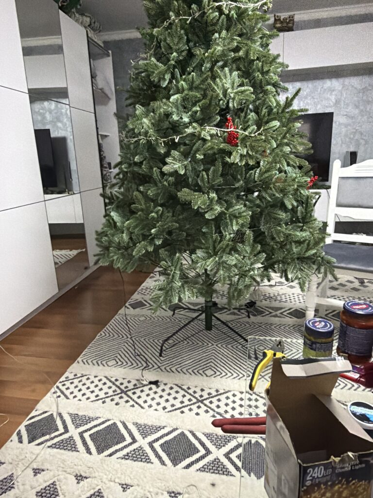 Image #2 from Gheorghe I.