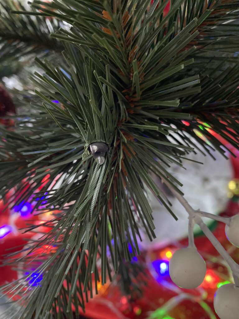 Image #1 from Bianca S.