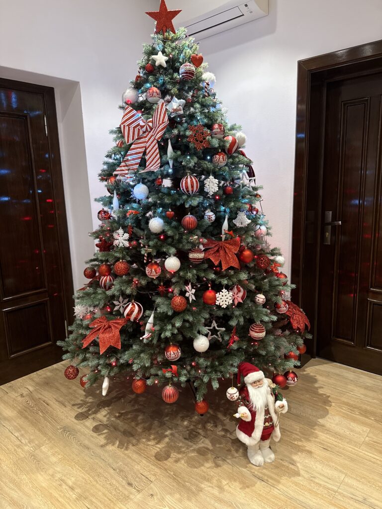 Image #1 from Lorena O.