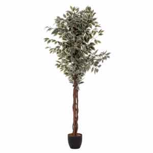 Planta artificiala Atmosphera Ficus cu ghiveci, 97x86x185 cm, verde in doua nunante