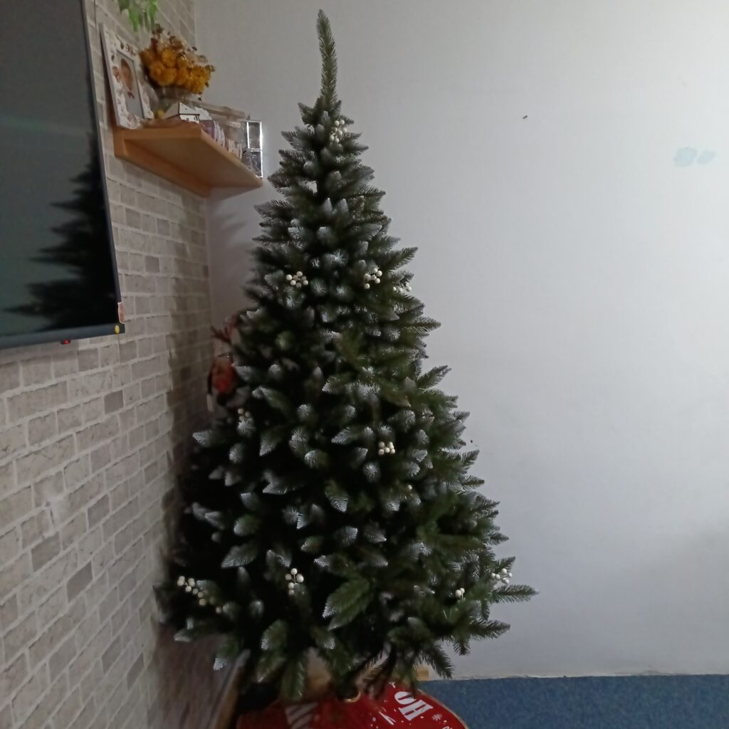 Image #1 from Urcaciu I.