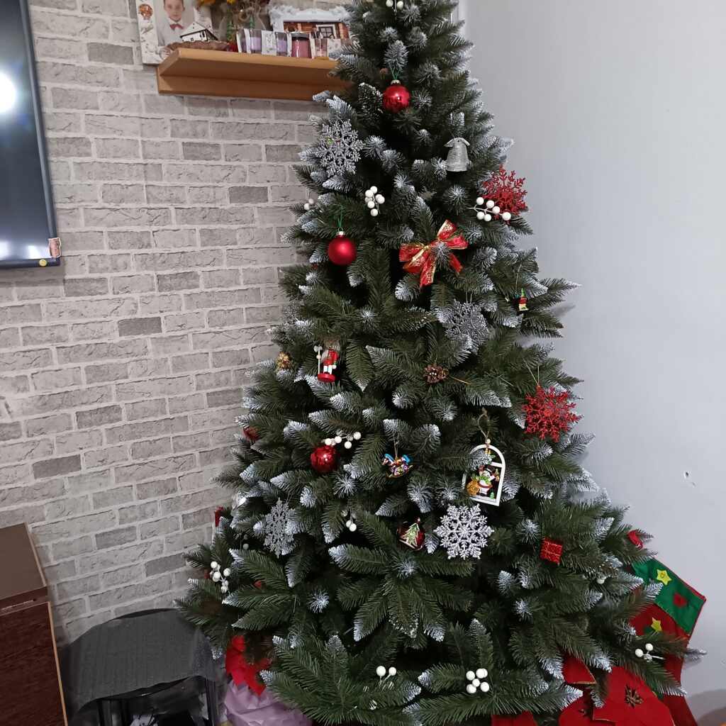 Image #2 from Urcaciu I.