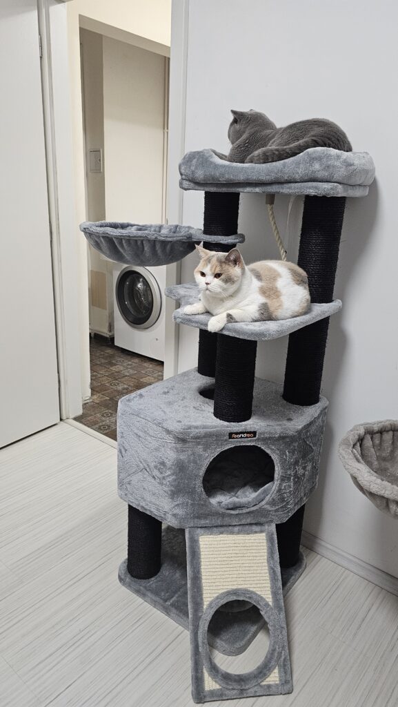 Image #1 from Anca B.