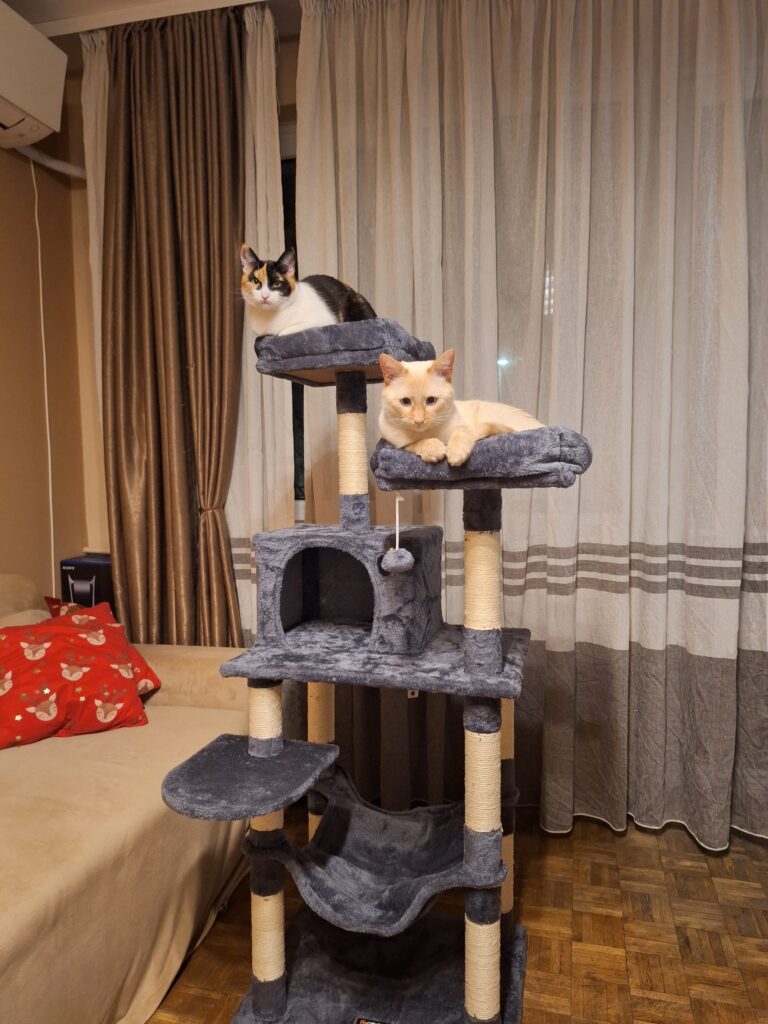 Image #2 from Denisa