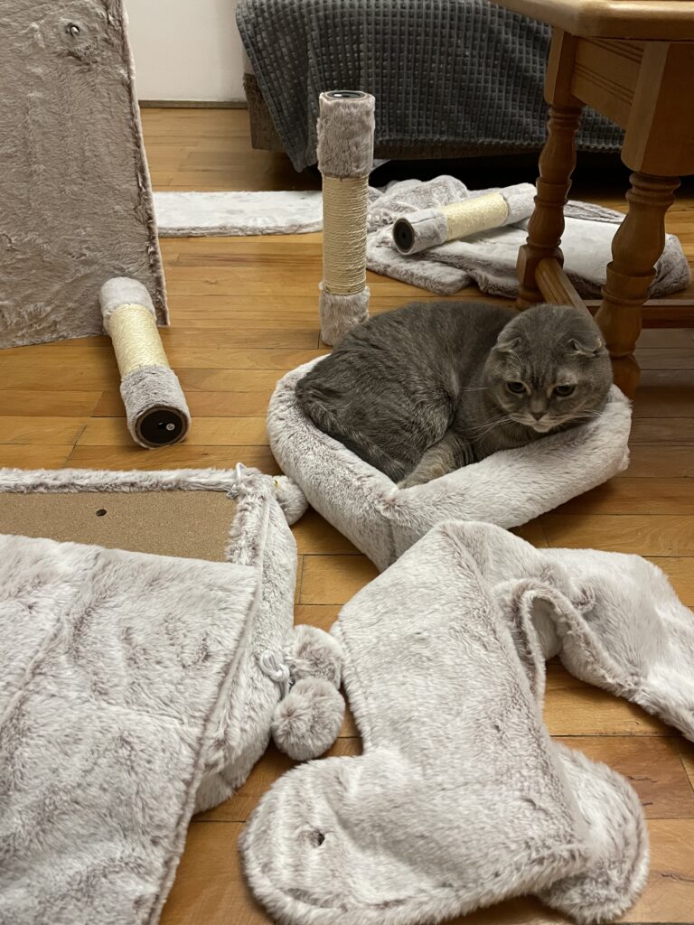 Image #1 from Staicu Georgiana