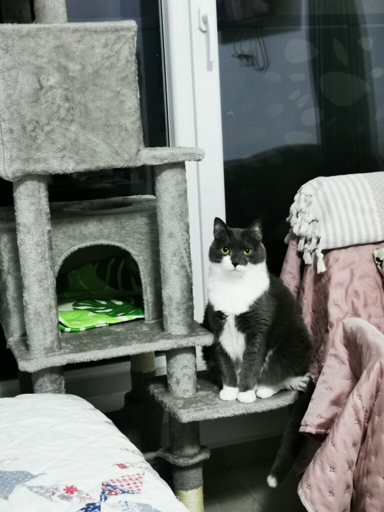 Image #1 from Ramona N.