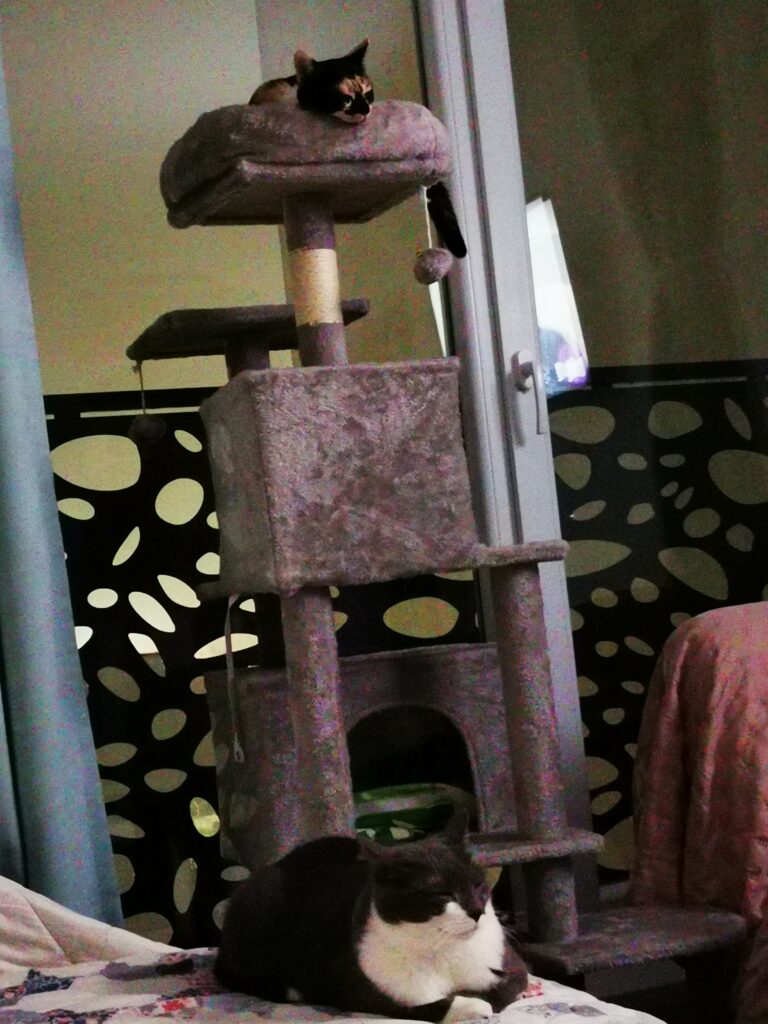 Image #3 from Ramona N.