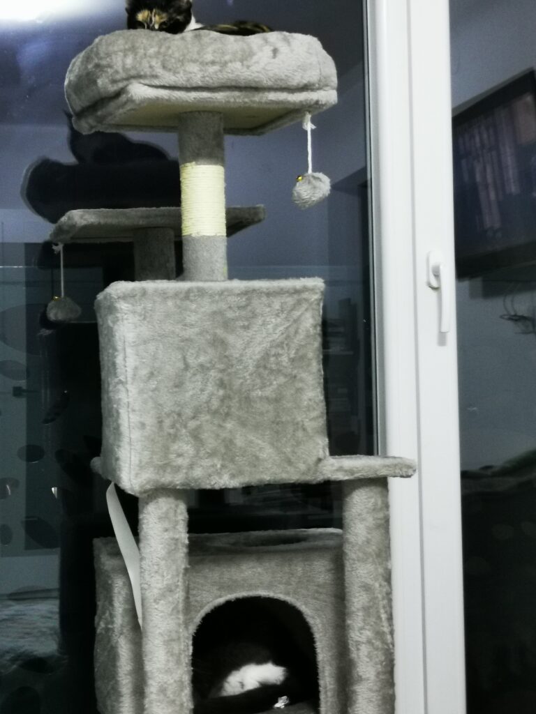 Image #2 from Ramona N.