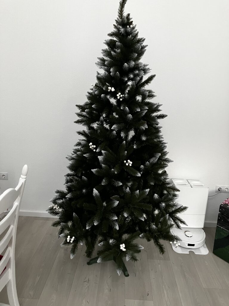 Image #1 from Dora D.