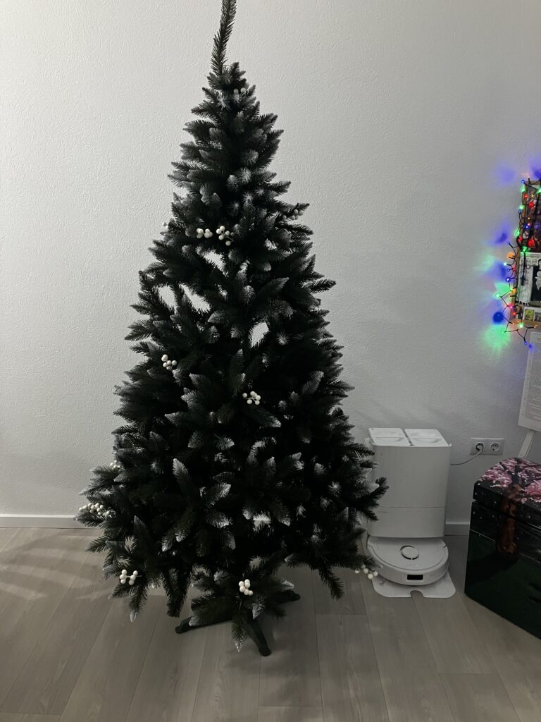 Image #2 from Dora D.