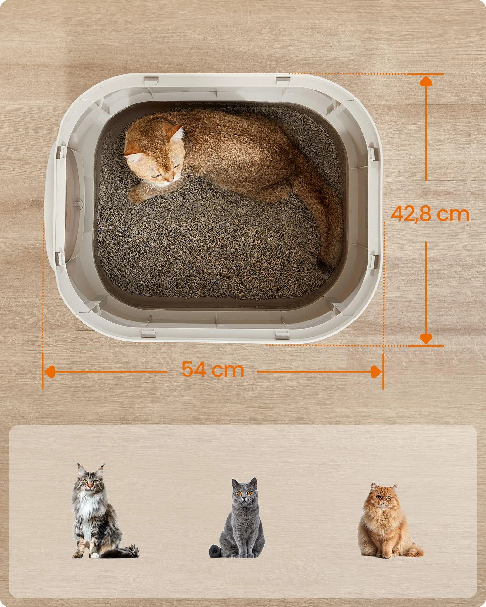 FEANDREA Litiera pentru pisici XXL cu capac, tava extensibila si accesorii incluse, din plastic PP, 54x43x40 cm, gri deschis - imagine 3