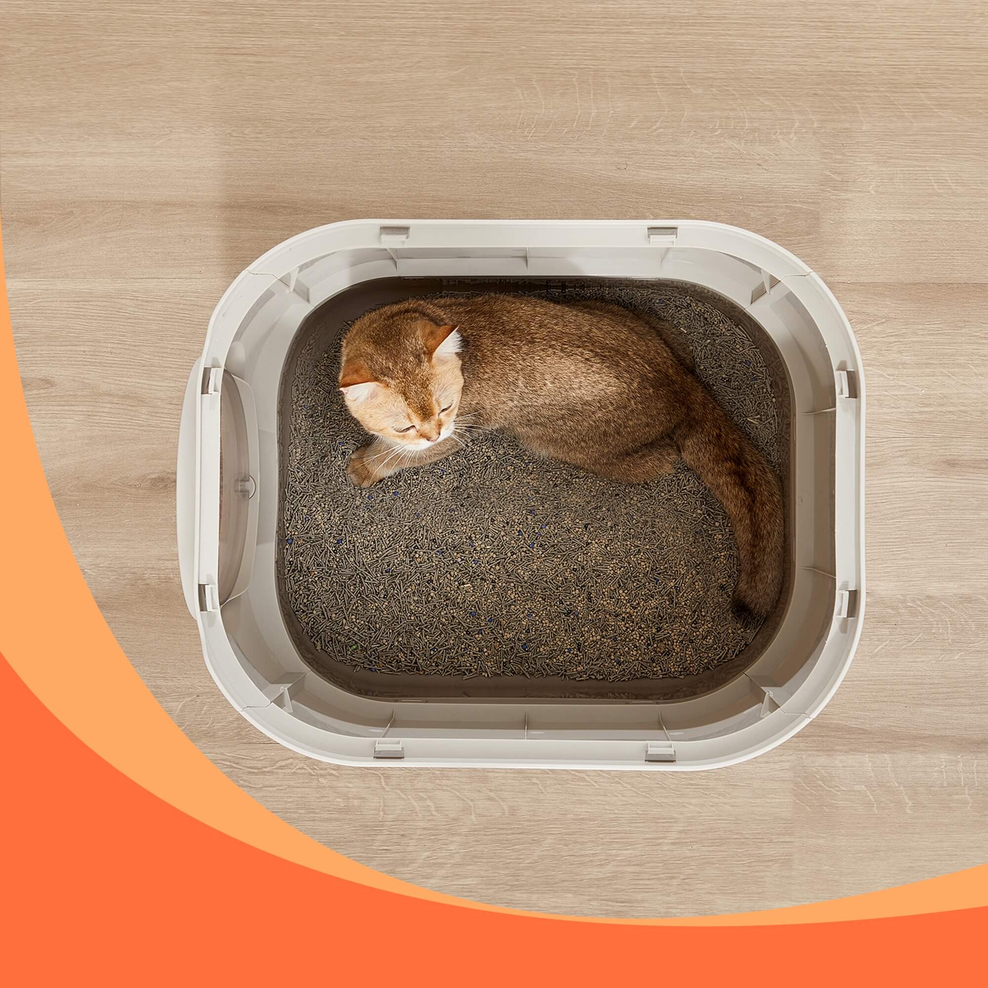 FEANDREA Litiera pentru pisici XXL cu capac, tava extensibila si accesorii incluse, din plastic PP, 54x43x40 cm, gri deschis - imagine 4