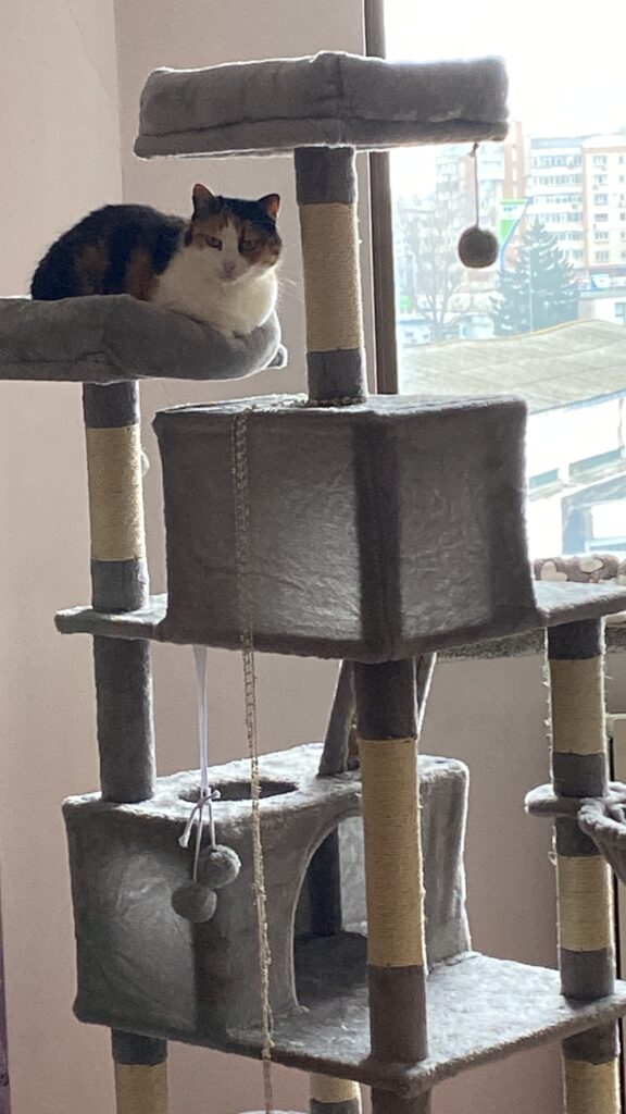 Image #1 from Monica