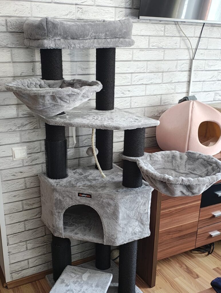 Image #1 from Mihaela V.