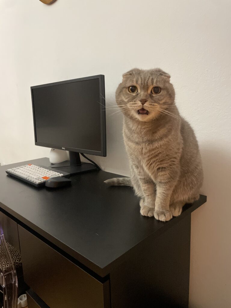 Image #2 from Staicu Georgiana