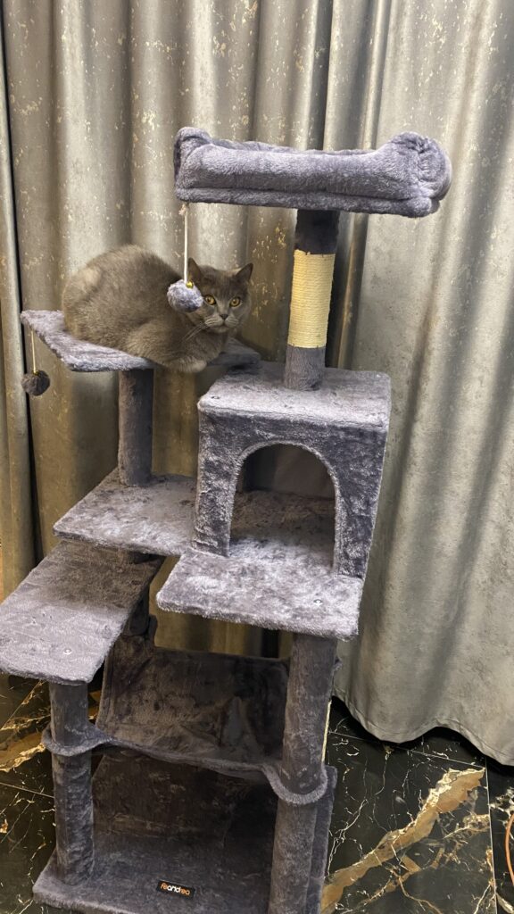 Image #2 from Denisa Galan