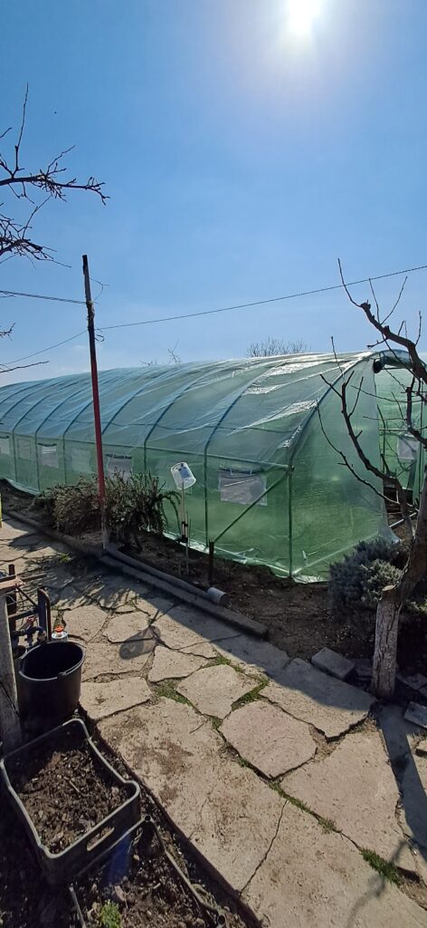 Image #1 from Eugenia P.