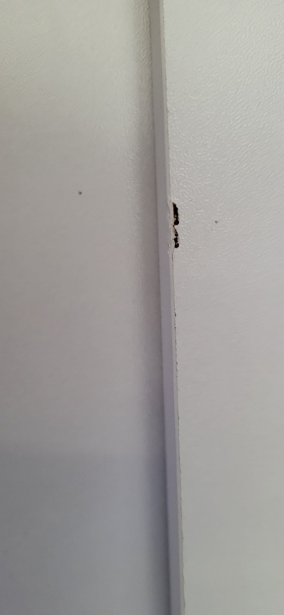 RESIGILAT: VASAGLE Dulap pantofi 80x24x102 cm, cu 2 usi rabatabile, separator reglabil si raft superior, PAL alb mat - imagine 2