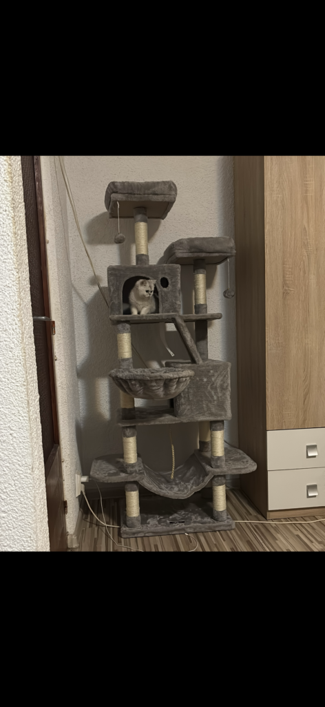 Image #1 from Emilia