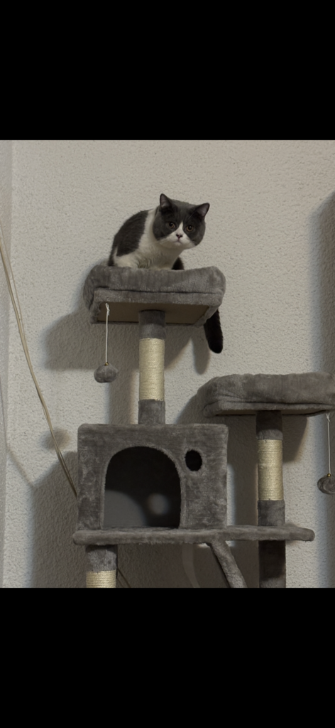 Image #2 from Emilia