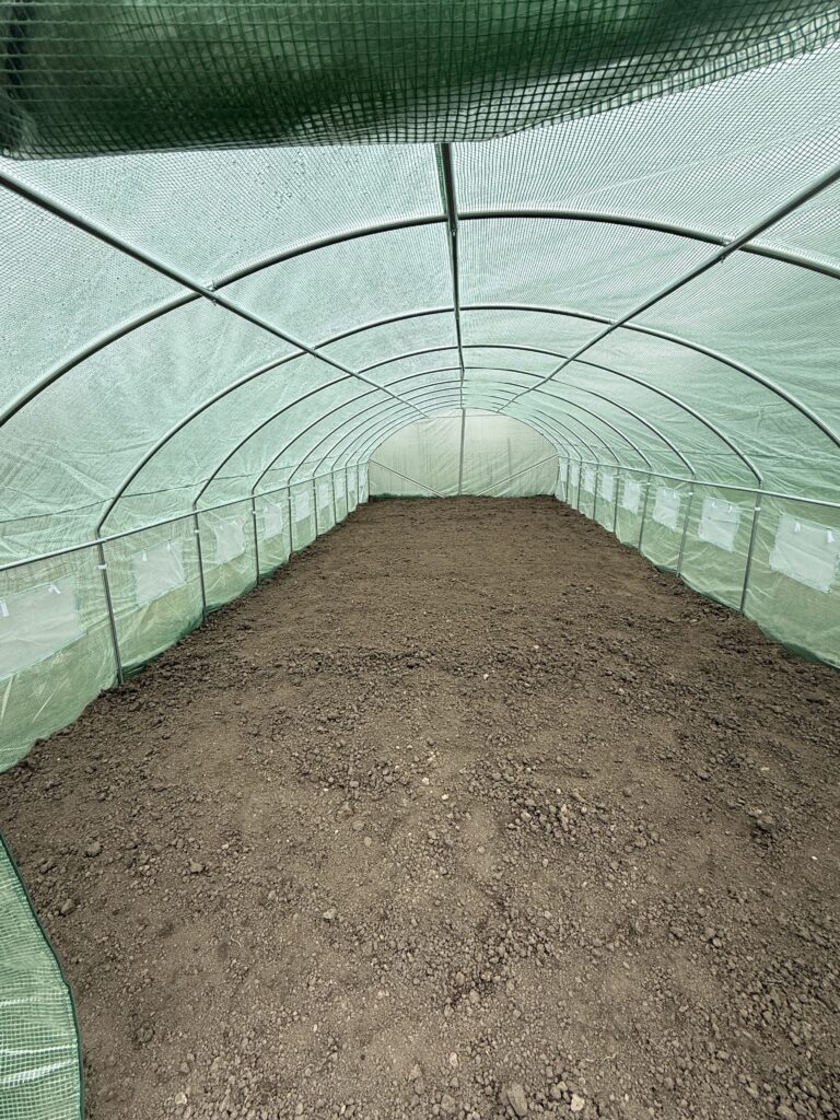 Image #3 from Anonymous