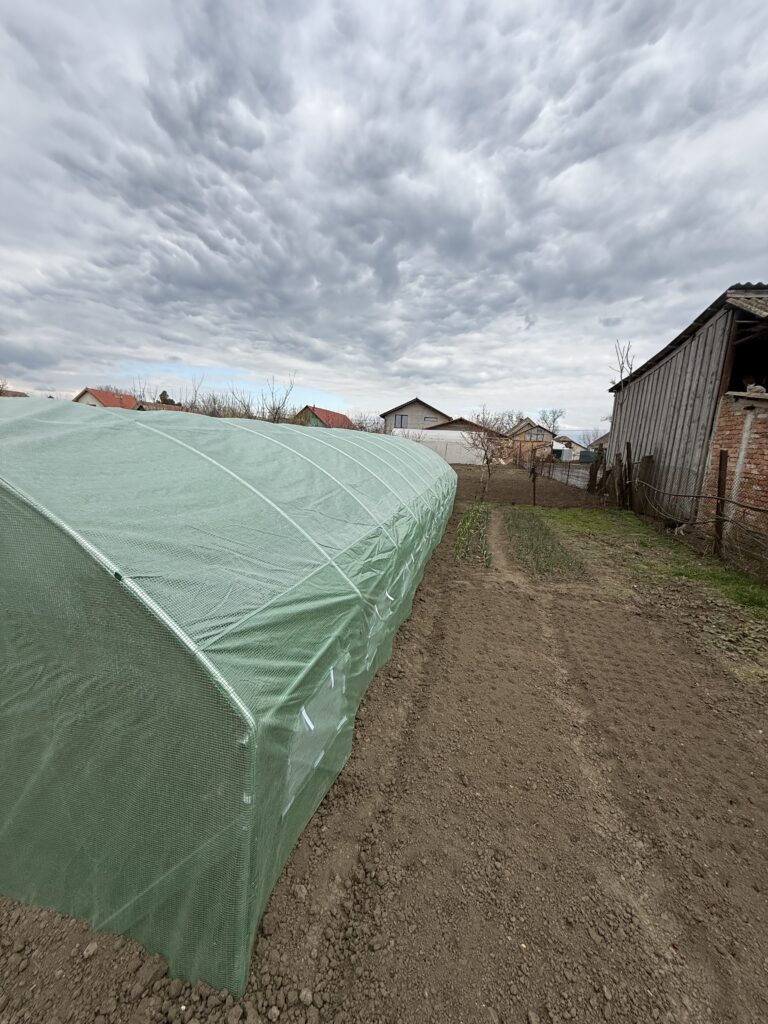 Image #2 from Anonymous