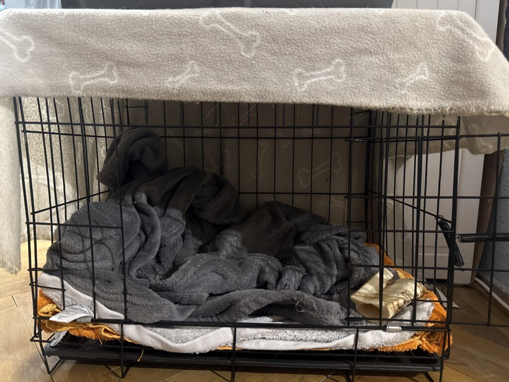 Image #1 from Andreea M.