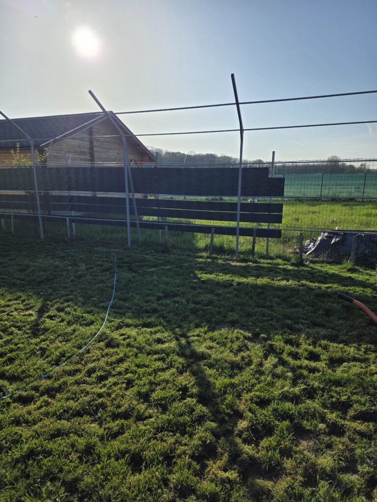 Image #2 from Anonymous