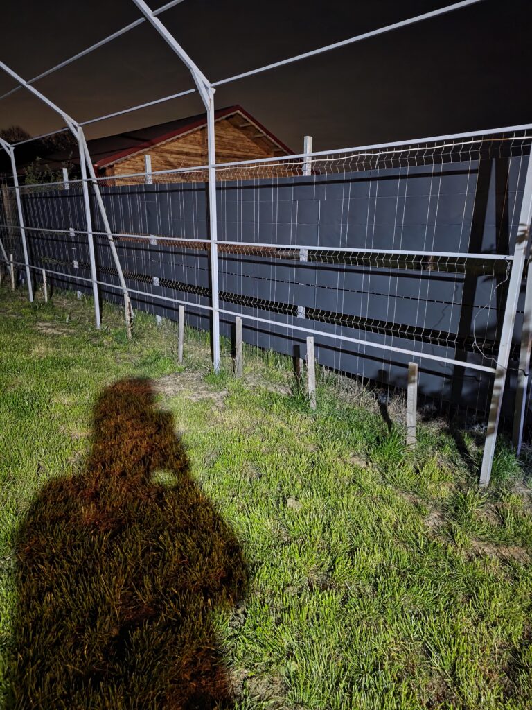 Image #1 from Anonymous