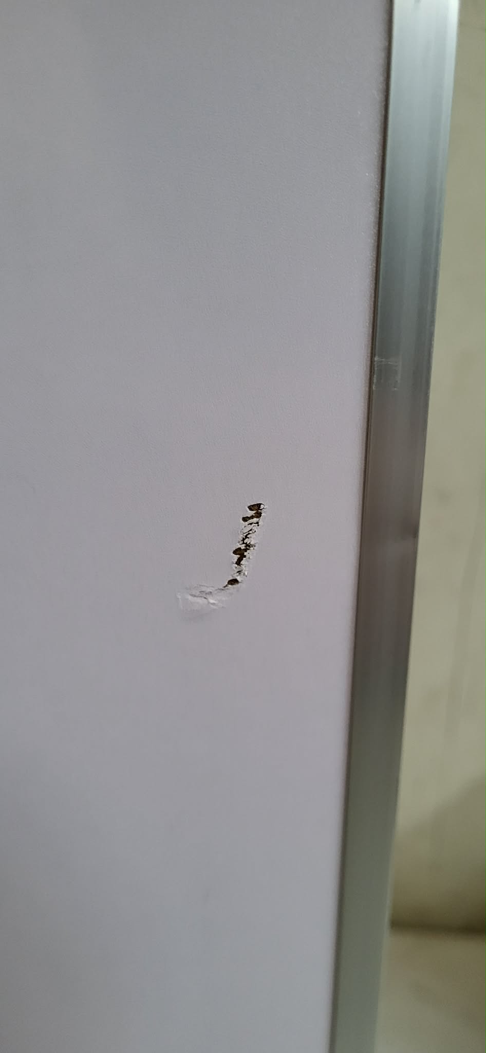 RESIGILAT: Set masa pliabila reglabila si 4 scaune, tip valiza, gri, 120x60cm - imagine 2