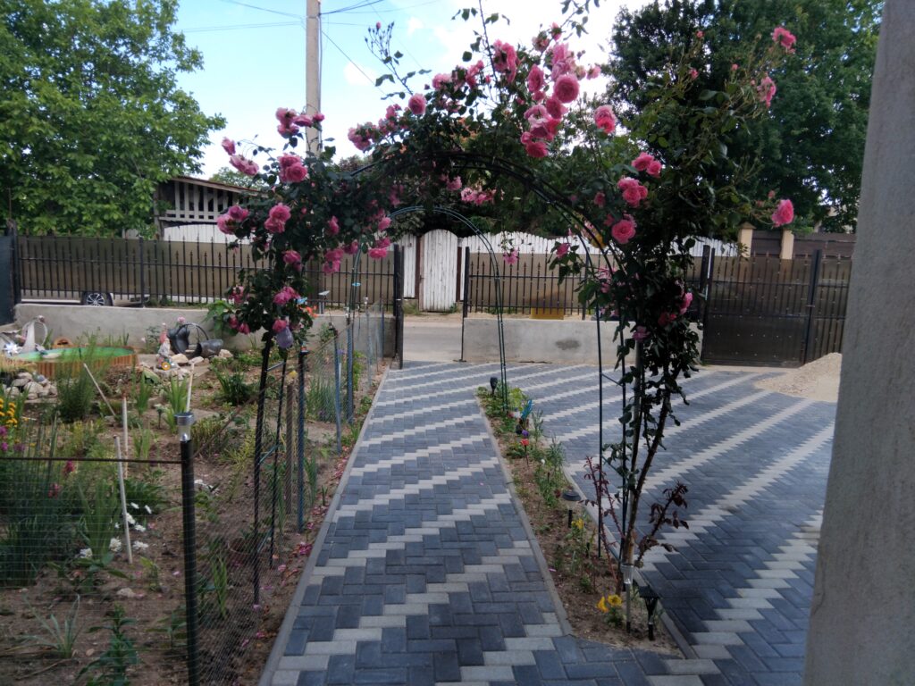 Image #2 from Ștefania Constantin
