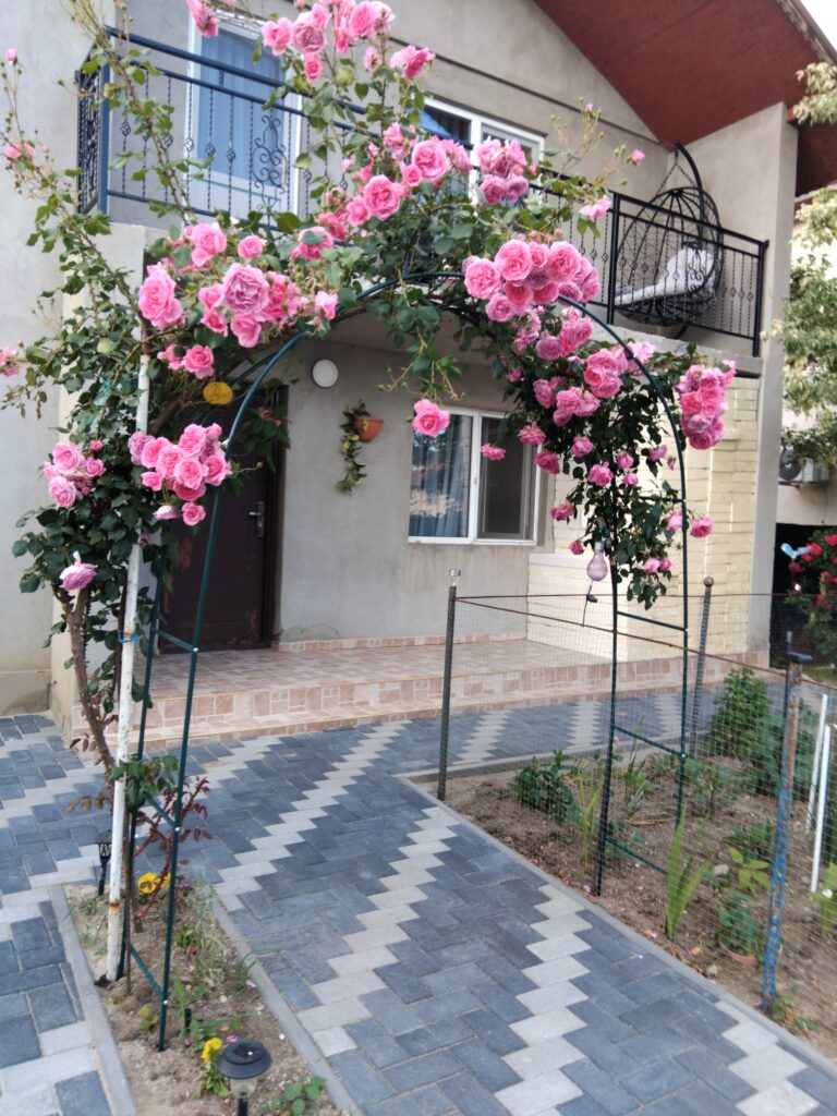 Image #1 from Ștefania Constantin