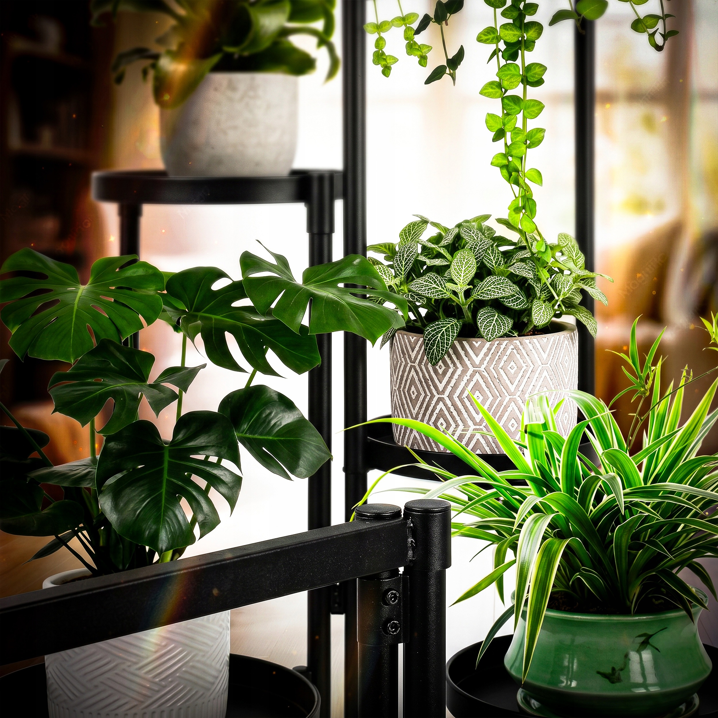 Suport pentru flori si ghivece cu 5 niveluri, structura metalica, polite rotunde cu margini inaltate si diametru de 20 cm, design modern industrial si loft, baza stabila de 48x48 cm, inaltime 82 cm, negru - imagine 8